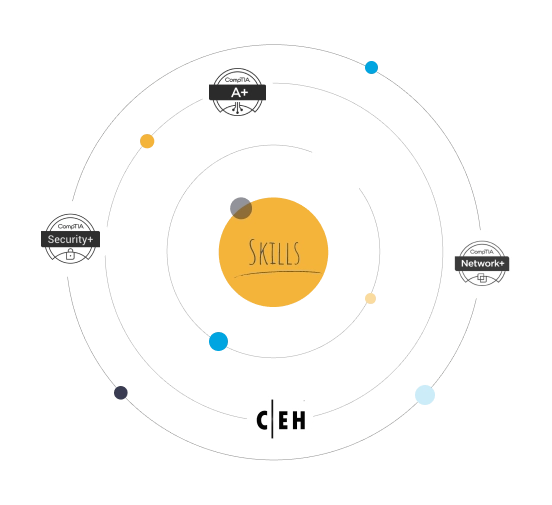 Tech Academy certification pathways